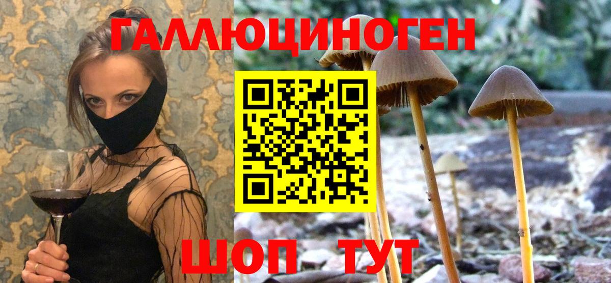 Галлюциногенные грибы MAGIC MUSHROOMS  Вход с VPN  Мытищи 