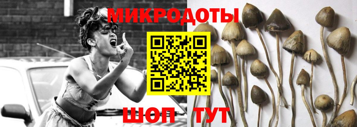 Псилоцибиновые грибы мухоморы Мытищи